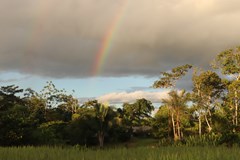 Příběhy z Amazonie - Kopřivnice - Vila Machů
