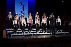 Novoroční Koncert - Dětského Sborového Studia Ostrava - Jih