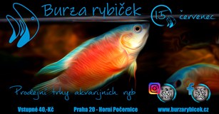 Burza rybiček - Praha Horní Počernice 2023