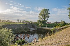 Topolový hájek, Tasov