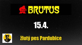 Brutus ve Žluťáku