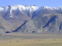 Pustým Mongolskem až za obzor 