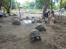 Zanzibar - tropický ráj