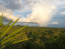 Ztracený ráj starých Májů, Guatemala