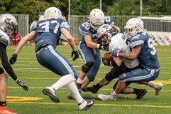 ISMM OSTRAVA STEELERS - NITRA KNIGHTS