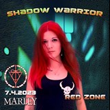 SHADOW WARRIOR