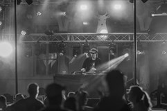 WILD FEST