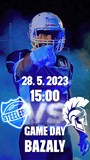 ISMM OSTRAVA STEELERS - VYSOČINA GLADIATORS