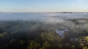 Živá Amazonie - zpátky k přirozenosti a jednotě