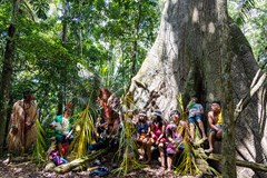 Živá Amazonie - zpátky k přirozenosti a jednotě