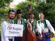 CM Krepina