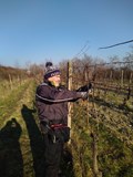 Degustácia račianskych vín v Chrudimi