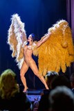Bohemian Burlesque Festival: Bohemian Cabaret Brno