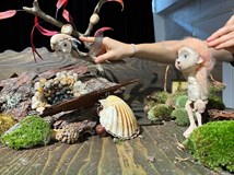 Studánka a kouzlo lesa