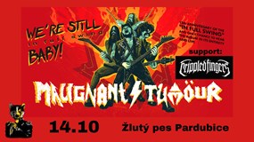 MALIGNANT TUMOUR - Pardubice 