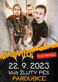 Promile 23 let - Pardubice