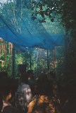 nūr X Boudica Community Affair
