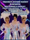 Tranvestyshow Divoké kočky