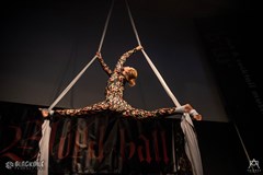 Blood Ball 2023