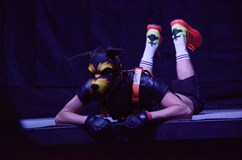 Czech Puppy Contest 2024