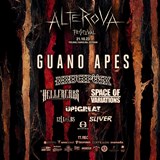 Alterova festival