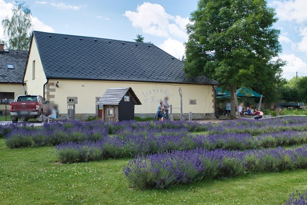 Restaurace Lavender