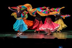 Dance of Love show 2024