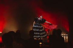 Bratislava Burlesque Show