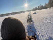 HUSKY FARMA NA KONCI SVĚTA