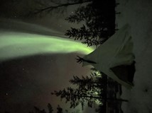 HUSKY FARMA NA KONCI SVĚTA