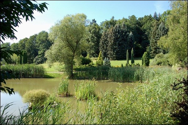 Arboretum