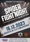 Spider Fight Night