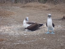 Ekvádor a Galapágy