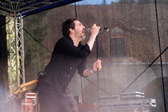 Alen, David Pomahač