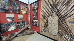 Výstava Tajemná Indonésie, Tamtamy času - Nová Guinea