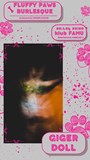 Fluffy Paws Burlesque 2
