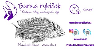 Burza rybiček - Praha Horní Počernice 2024