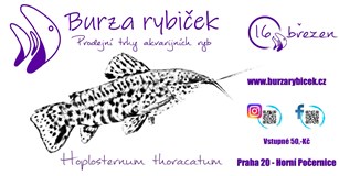 Burza rybiček - Praha Horní Počernice 2024