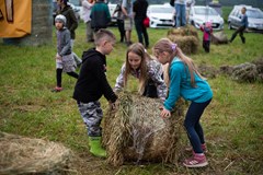 Vohradník Fest vol. V