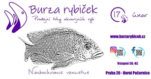 Burza rybiček - Praha Horní Počernice - Leden 2024