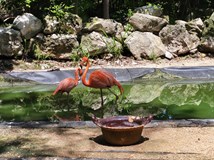 Měsíc na Yucatánu