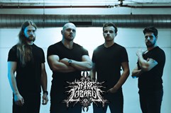 FRONT LINE FEST -VI-