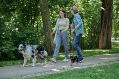 MIMIKINO - Řekni to psem