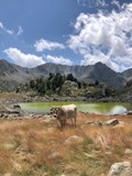 Dotek bláznovství GR11 / Anežka Pecháčková