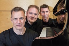WALTER FISCHB Trio (USA) plays The Beatles in Jazz