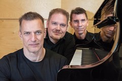 WALTER FISCHB Trio (USA) plays The Beatles in Jazz