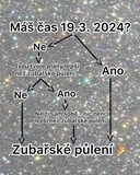 Zubařské půlení