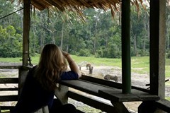 Středoafrická republika - vyprávění (nejen) o gorilách