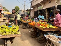 Senegal a Gambie - ze savan do pouště