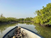 Senegal a Gambie - ze savan do pouště